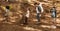 Group of kids with toys in forest