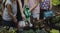 Group of kindergarten kids learning gardening outdoors