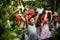 Group of kindergarten kids learning gardening outdoors