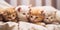 A group of kittens laying on top of a bed. Generative AI image.