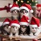 A group of kittens in tiny Santa hats, gathered around a gingerbread house2