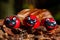 Group of ladybug figures with Autumn background