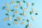 Group lemon cut slices with mints leaf freshness on blue wooden background