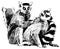 Group of lemurs ink sketch, Madagascar