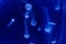 Group of light blue jellyfish swiming in aquarium