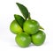 group lime fruit isolate on white