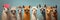 A Group Of Llamas With Different Colored Hair