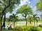 A group of locals relaxing under the shade of a tree along the lake of Lumpini Park on a hot day in downtown Bangkok.