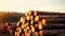 Group of Log trunks pile, Wooden trunks pine, Logging timber wood industry