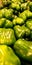 A group of loose, bulk sweet green peppers background