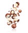 Group of macadamia nuts crushed in the air, isolated on white background