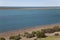 Group of magellanic penguins at a beach (H)