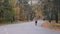 Group of male and female cyclists in cycling apparel riding on road bicycle in empty autumn park. Young sportive women and men har