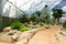 Group of Many cactus species on gravel growing in greenhouse