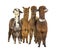 Group of many different colors alpaca in a row - Lama pacos