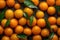 Group of many Kumquat with seamless background, waterdrops, close of view, overhead angle Shot