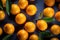 Group of many Kumquat with seamless background, waterdrops, close of view, overhead angle Shot