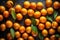 Group of many Kumquat with seamless background, waterdrops, close of view, overhead angle Shot