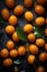 Group of many Kumquat with seamless background, waterdrops, close of view, overhead angle Shot