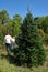 Group Measuring Christmas Trees