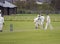 Group of men are enjoying playing cricket