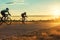 Group of men ride bicycles at sunset with sunbeam