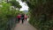 Group of Middle Aged Asian Women with Hats on Walk Down Mountain Road on Hike 4k