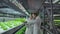 Group of modern scientists biotechnology scientist in white suit with tablet for working organic hydroponic vegetable