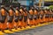 Group of monk buddhist walking on petal marigold line