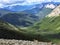 A group of mountains goats grazing and enjoying the view of the Canadian Rockies along the Sulphur Skyline Trail