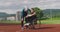 Group of multi cultural sports people disabled female and her trainer wearing hijab after training on athletics sports