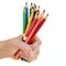 Group of multicolored pencils in young girl`s hand. School, colledge and university tools, colorful pencils for drawing graphics