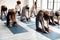 Group of multiethnic people in comfy sportswear performing Camel Pose