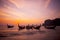 Group of Multiple Boats in Sunset