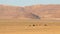 Group of Namib desert wild horses in a beautiful landscape, Aus, Namibia.