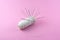 group of needle stick on white thread roll isolated pink background