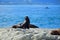 A group of new zealand fur seals sunbathing on a rock at Kaikoura, New Zealand, South Island