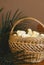 Group newborn chickens sitting in basket