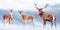 Group of noble deer in the snow. Christmas artistic image. Winter wonderland.