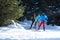 Group of Nordic cross-country skiers