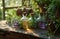 a group of oils in bottles on an old wooden table