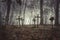 Group of an old graves on traditional Christian European cemetery. Halloween wallpaper. Rest in peace. Scary foggy graveyard