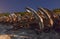 Group of old and rusty abandoned ship anchors in Conil de la Frontera. Cadiz, Spain