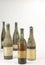 Group of old wine bottles completely dusty isolated