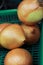 an group onion on green basket on wooden table