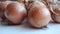 Group of onions on white table. Close-up of ripe harvesting onion.