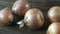 Group of onions on wooden background. Fungus on Onions. Moldy onions.