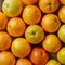 Group of orange fruits, vibrant citrus display concept