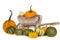 Group of orange and green pumpkins with a wooden wheelbarrow