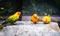 Group of orange mini parrot on rock